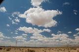 DSC_7298.JPG