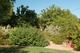 DSC_7704.JPG