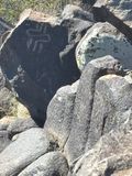 IMG_1608.JPEG