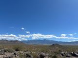 IMG_1647.JPEG