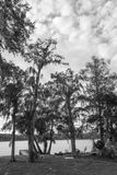 L1000832.jpg