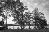 L1000837.jpg