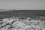 L1001127.jpg