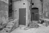 L1001178.jpg