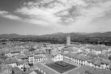 L1000199.jpg