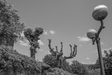 L1000228.jpg