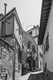 L1000233.jpg