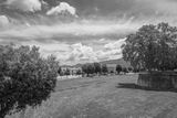 L1000318.jpg