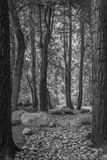 L1000697-Edit.jpg