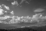 20240205-L1001108-Edit.jpg