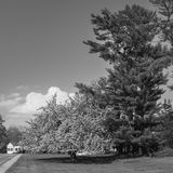 20240429-L1001266.jpg
