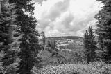20240625-L1001593.jpg