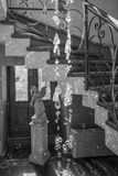 20240601-L1001312-Edit.jpg