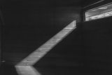 20250319-L1002571-3Edit-Edit.jpg