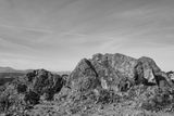20250406-L1002624.jpg