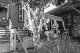 20250610-L1002844.jpg