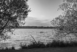 20250612-L1002912.jpg