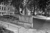 20250612-L1002896.jpg