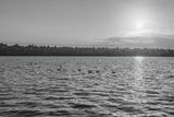 20250612-L1002923-Edit.jpg