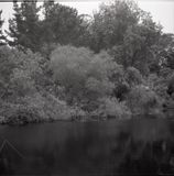 KW16June25IlfordSFX12.jpg