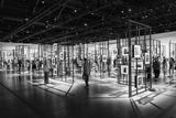 20250720-L1003016-Edit.jpg