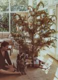 A Charlie Brown Christmas tree