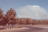 Bushfire