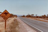 Kangaroos next 30 km