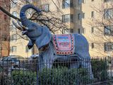 Shackles, bullhooks, loneliness at the circus