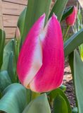 Spring has really sprung!