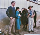 Sydney Royal Easter Show