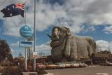 The Big Merino, Goulburn, NSW