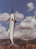 The Big Marlin, Cairns, FNQ