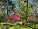 Entrance to the Dogwood Collection