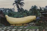 The Big Banana, Coffs Harbour, NSW