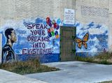 Speak your dreams into existence