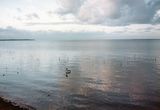 Trinity Bay, Cairns, FNQ