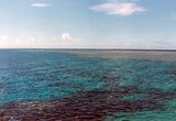 Agincourt Reef, Great Barrier Reef, FNQ