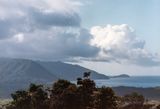 Cape Tribulation, FNQ