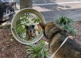 Mirror, mirror...