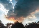 Burning cane in FNQ