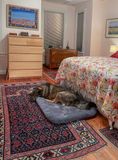 Queenie discovers the upstairs