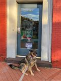 Queenie and the (closed) dog cookie dry cleaners