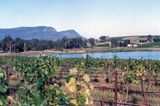 Hungerford Hill Winery, NSW