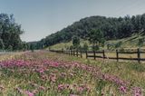 End of the road in NSW