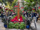 Washington Monument, made entirely of plant parts