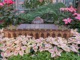 U.S. Botanic Garden conservatory