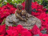 A planted Albert Einstein