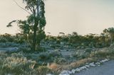 Start of the Nullarbor Plain