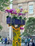 Orchids and the museum